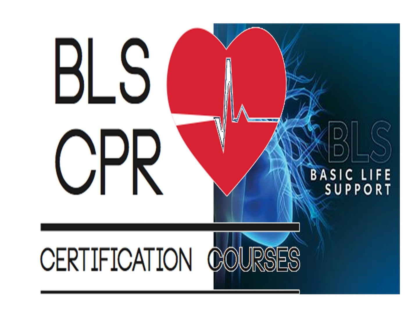 BLS CPR AED - Adult & Pediatric RENEWAL/Non-expired [3 hours]